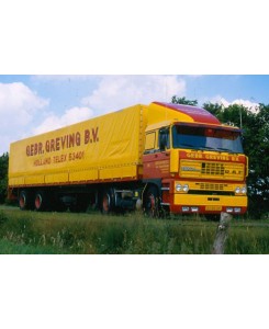 WSI01-4478 - DAF 3300 4x2 centinato Gebr. Greving Transport /1:50 WSImodels