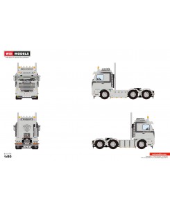 WSI01-4696 - Scania serie3 Streamline 6x2 Becatrans /1:50 WSImodels